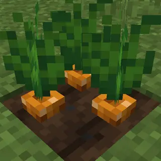 Crops 3D Reploughed