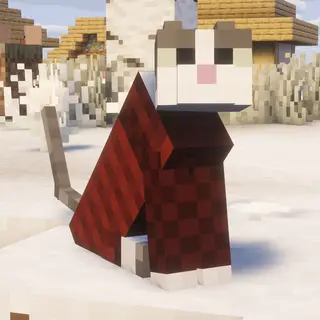 Cat Coats❄️