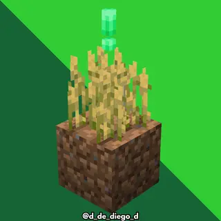 Finished Crops