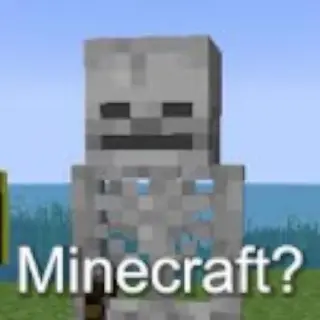Plastic Bricks Skeleton Death