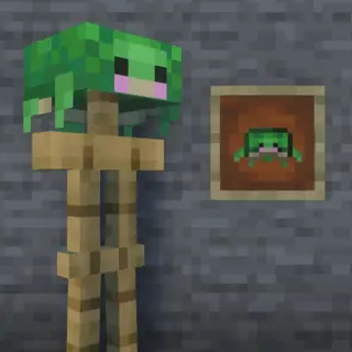 Cute Turtle Helmet