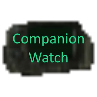 Watch Companion