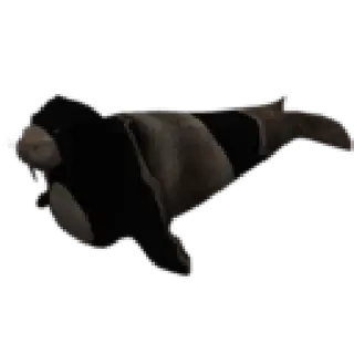Extra Cells 2 Walrus Shrinker
