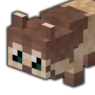 Fox to Furret