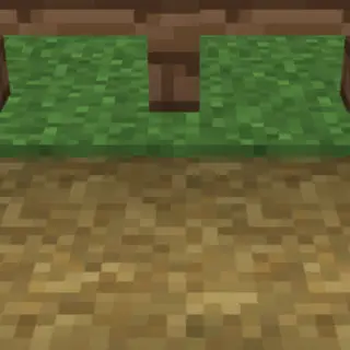 Paths