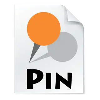 Pin