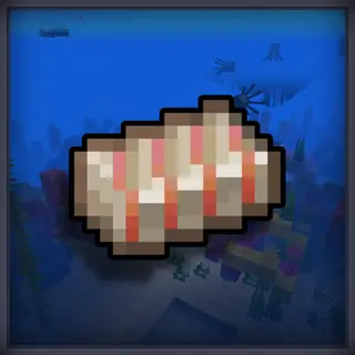 Nautilium