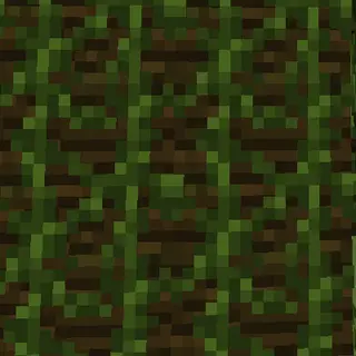 Vine Climber