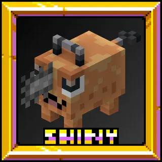 Shiny's Pochitas