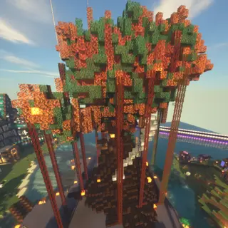 SHSMP Origins