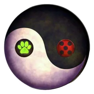 Miraculous Craft