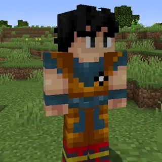 Goku Partner 