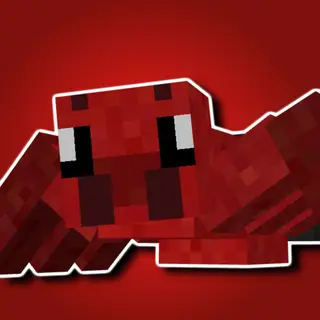 More Bugs