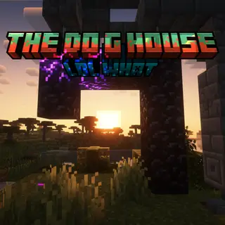 the do g house
