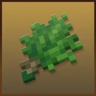 Venturer