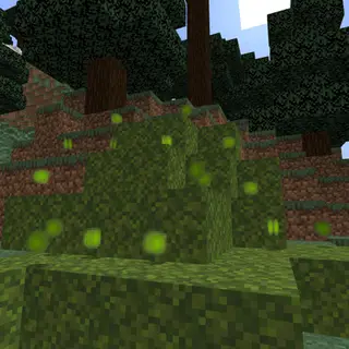 Moss Interactions