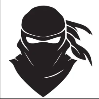 Ninja Warrior