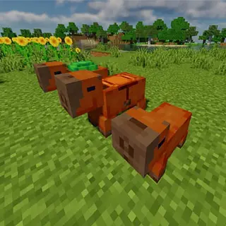 CapybaraWilds