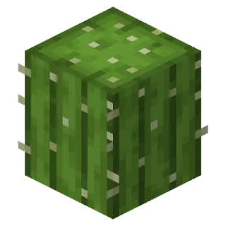Cooler Cactus