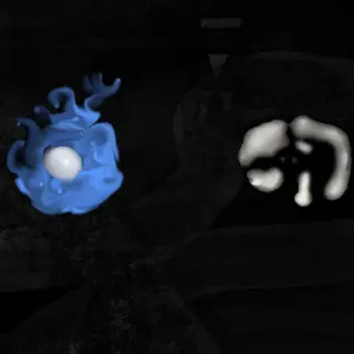 The Great Silence [TGS]