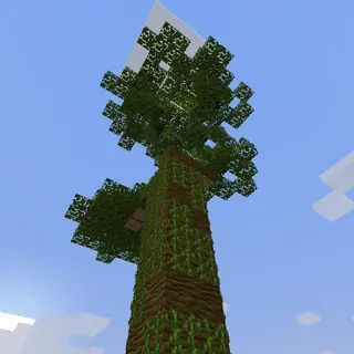Smart Tree Felling