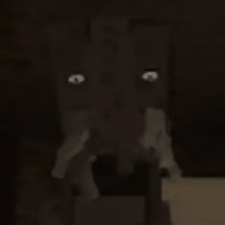 THE FROZEN STALKER