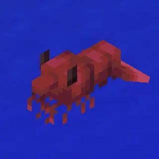 Cherry Shrimp