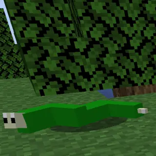 Anaconda