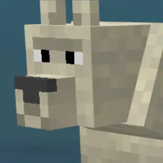 A new bear skin TFC