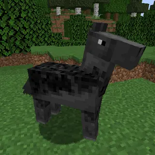 Hold Your Horses!