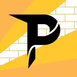 Paladium V10 (with endium mixed )