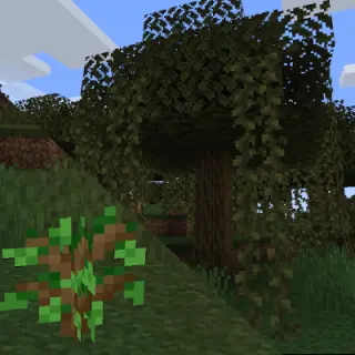 Better Swamps And Wetlands
