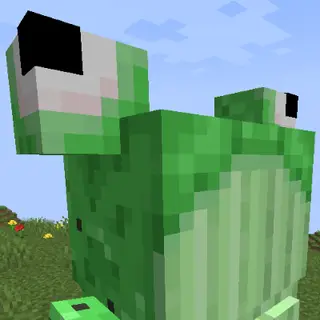 Some Frogs