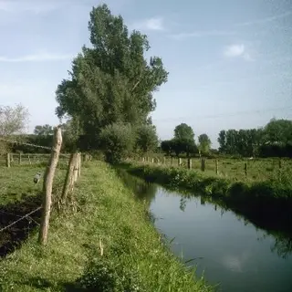 Farming sim
