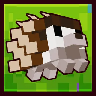 Will's Hedgehogs!