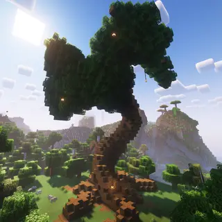 Large Oak Tree