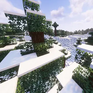 Better Snowy Biomes: Edits