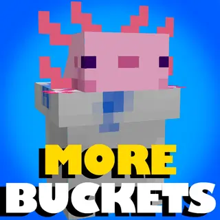 MORE BUCKETS