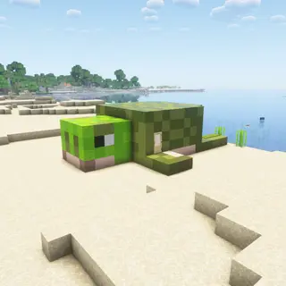 Turtle House