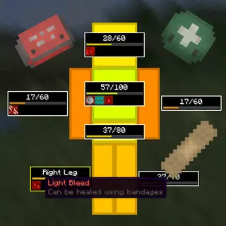 Medical system