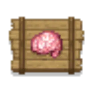 Brain Delight