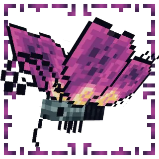 Butterflies Expansion!