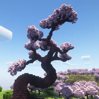 Giant Cherry Blossom Bonsai Tree