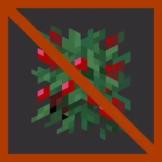 No Berry Damage