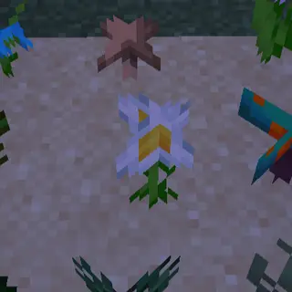 Bone Meal Revival