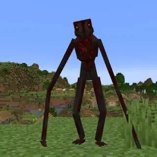 Creator Reimagined
