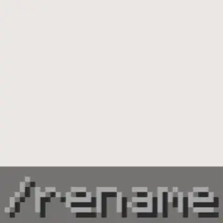 /rename command