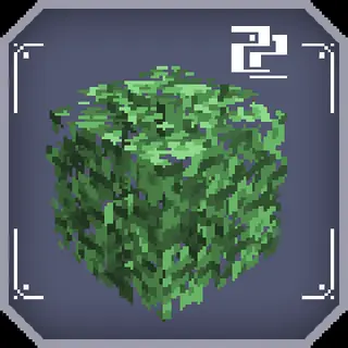 Lush grass leaves