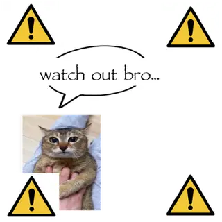 Watch Out Bro