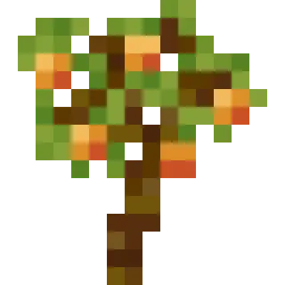 Benji's Fruit Trees